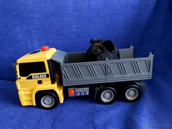 Morče, morčátka miminka - 2