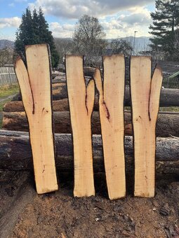 Kaštanové fošny - 2