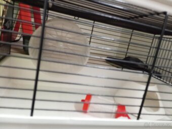 Klece pro drobné hlodavce. - 2