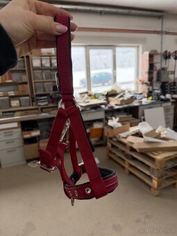 Prodám ohlávku Eskadron – hříběcí - 2