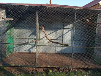 Venkovní voliéra - 2