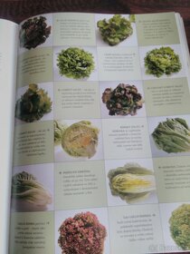 Ovoce a zelenina - 2