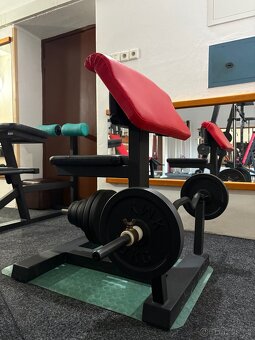 Lavice bicepsy - 2