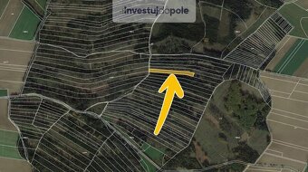 Prodej lesního pozemku v k.ú. Lomy u Jemnice - 2