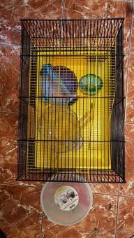 Klec pro křečka s příslušenstvím - 2