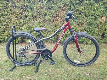 Specialized - 2