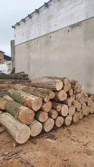 Palivové dřevo tvrdé sleva 50% - 2