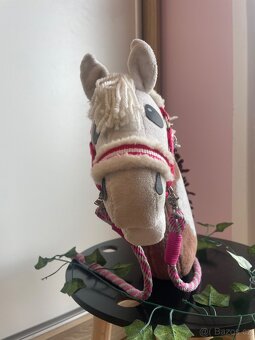hobby horse - 2