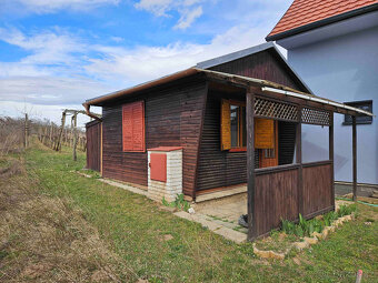 Prodej chaty, vinice, lesa 1793 m², Břeclav - Charvátská - 2