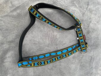 Postroj pro psa ( rotvajler ) - 2