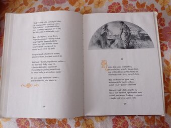 Kniha Alšova vlast - 2