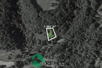 Prodej lesy, 6 901 m2 - Loučky  u Turnova, ev.č. 01900 - 2
