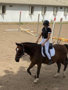 Podsedlová dečka FOUGANZA 100 - 2