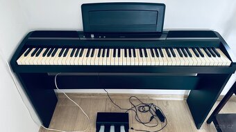 Digitální piano SP-170DX KORG - 2
