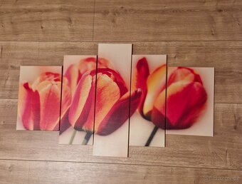 Obraz tulipány - 2