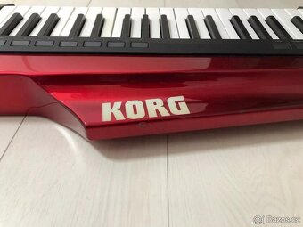 SHÁNÍM KORG RK-100S-RD - 2