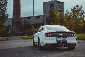 Ford mustang 3.7 V6 Automat - Keyless, Kamera, Roush - 2
