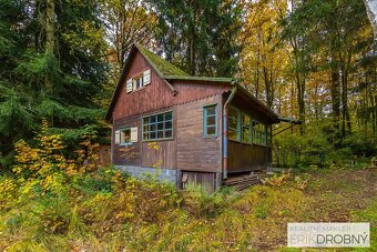 Prodej Chaty 38m2, České Lhotice - 2