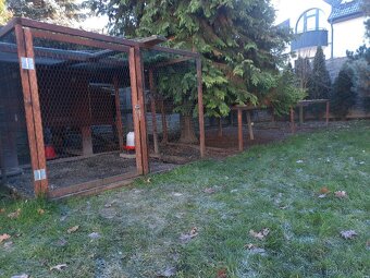 Zateplený kurník pro 8-10 slepic + oplocený výběh cca 25m2 - 2