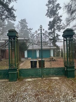 Kovaná brana s plotem - 2