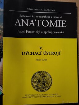 Anatomie Petrovický - 2