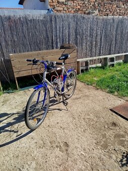 Motokolo 50ccm - 2