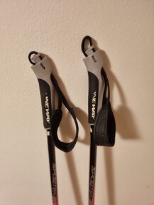 Hůlky Sporten 115 cm - 2