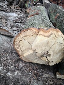 dubové hranoly a terasy - 2