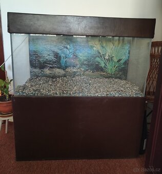 Terárium za odvoz - 2