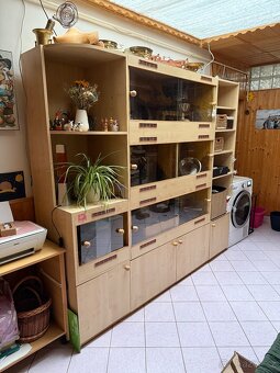 Terarijní stěna - 2