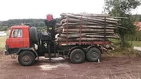 nejlevnevnejsi palivove drevo kulatina,doprava zdarma - 2