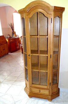 rustikální univerzální jednodveřový skleník/knihovna - 2