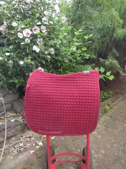 Drezurní DL dečky, mnoho kusů - 2