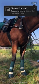 Vybavení na koně - 2