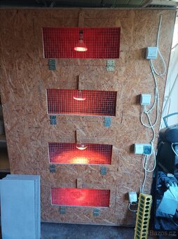 Velká odchovna drůbeže - 2