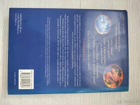 Kouzelný svět pána prstenů - 2