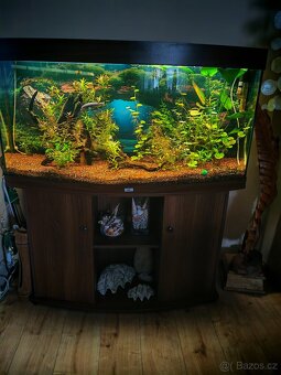 akvárium Juwel - 2
