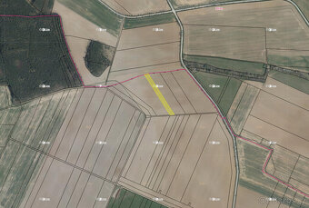 Lednice (3 872 m2) - 2