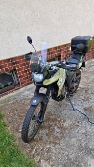 UM DSR ADVENTURE TT 125 ccm - 2