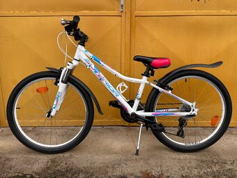 Superior Paint 24 dětské kolo s páčkovým řazením - 2