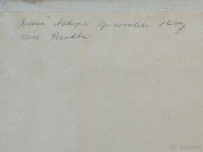 Rodný dům J.V. Plevy - malba - 2