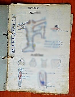 Libor Vojkůvka-malířův škol.sešit zoologie ze 6. A ,rok 1959 - 2