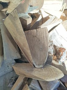 Akát - klíny - k stabilizaci kůlů - 2