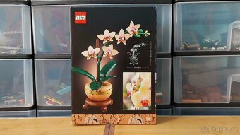 Lego Botanicals 10343 Miniaturní orchidej - 2