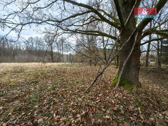 Prodej louky, 629 m², Borohrádek - 2