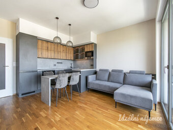 Pronájem bytu 2+kk, Breitfeldova, Karlín,  29500 Kč/měs, 55  - 2