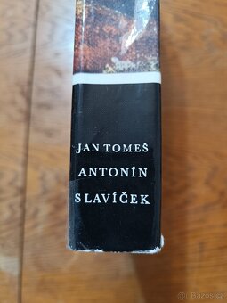 Kniha Antonín Slavíček autor: Jan Tomeš - 2