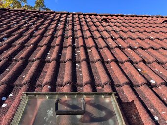 Střešní tašky a tramy - dřevo - 2