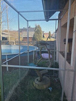 Venkovní voliera pro kočky - 2