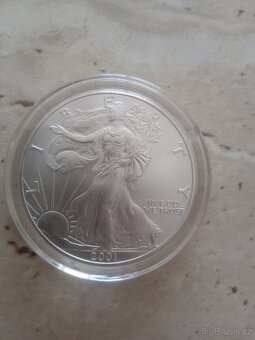 Stříbrná mince - 2